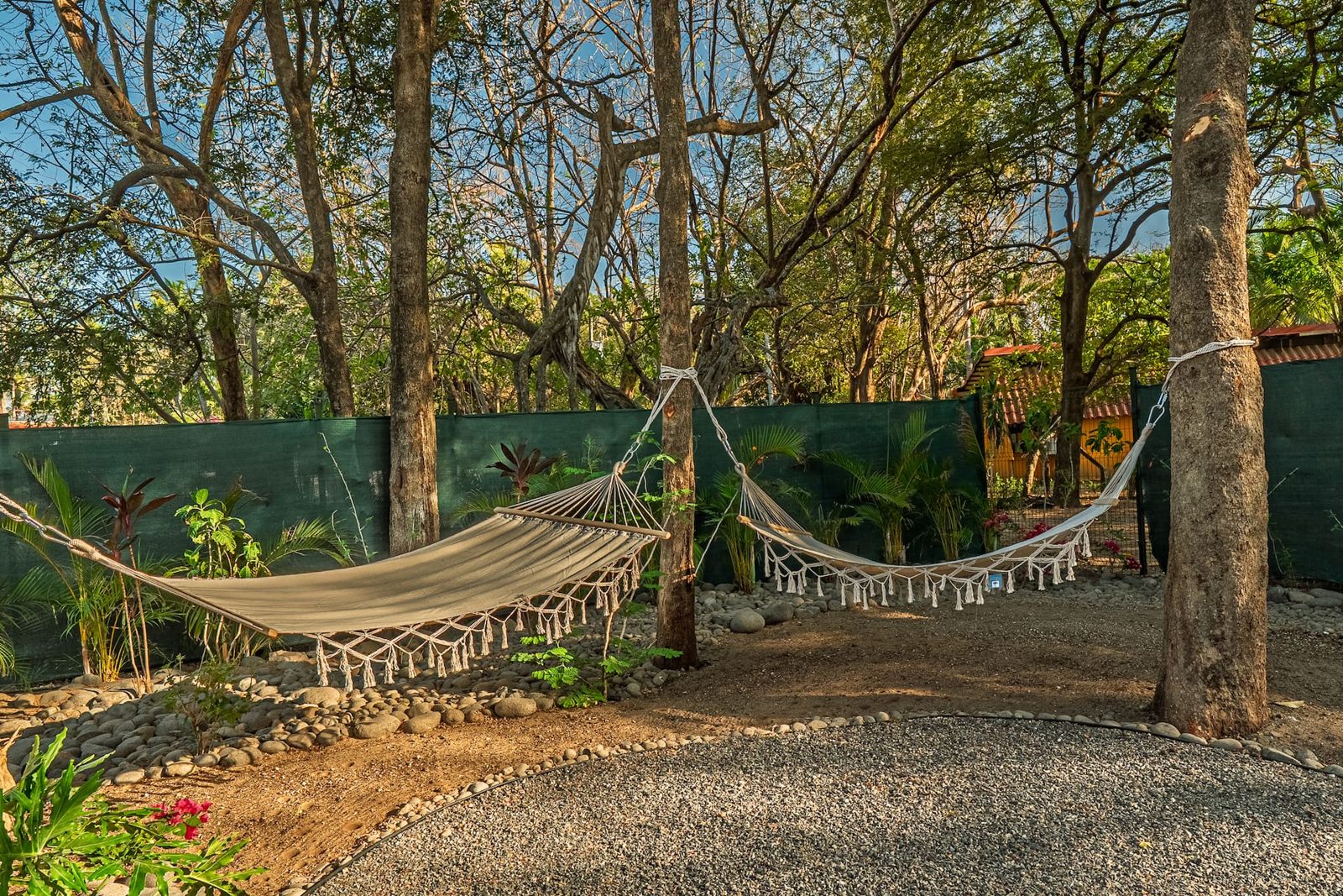 Hammock under the trees